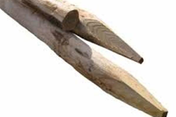 Kastanje paal geschild gepunt